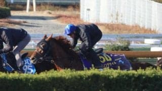 ダノンデサイル、有馬記念1週前追い切り速報/栗東トレセンニュース