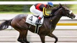 牝馬二冠チェルヴィニアの半弟 姉同様の一変で朝日杯FS制覇狙う