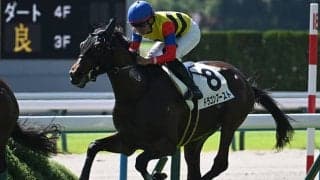 2年目田口貫太騎手がGI初制覇へ デイリー杯2歳S2着の相棒と朝日杯FSに参戦