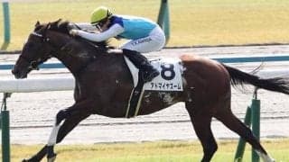 朝日杯FSで“アドマイヤ軍団”5年半ぶりのGI制覇狙う