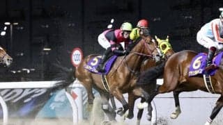 【全日本2歳優駿】小野「若干ブレーキがかかった」門別ソルジャーフィルドは3着