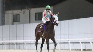 【全日本2歳優駿】横山武「現状は左回りが合わないかも」レース後ジョッキーコメント