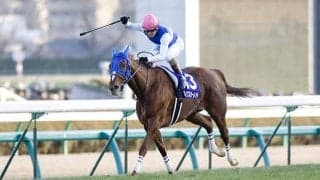 1番人気が勝利で3連単レース史上最高配当 ダイワスカーレットの史上4頭目牝馬V