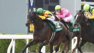 ゲンパチルシファーが抹消・乗馬に 22年に小倉開催のプロキオンS制す