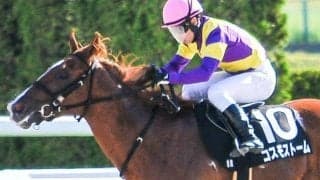 アジアエクスプレス以来11年ぶりに“初芝馬”がGI制覇なるか 朝日杯FSで伏兵評価を覆す