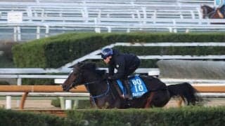 ラムジェット、東京大賞典2週前追い切り速報/栗東トレセンニュース