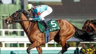 一族には重賞馬ズラリ 2.2億円サートゥルナーリア産駒が初陣V狙う