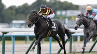 【朝日杯FS】ミュージアムマイルはマイナス6kg…調教後馬体重