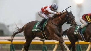 【朝日杯FS枠順確定】アルテヴェローチェは4枠8番、ミュージアムマイルは2枠4番