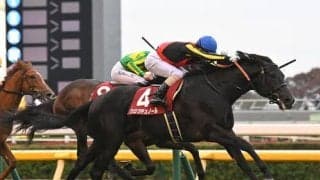 【競馬予想】ハイレベルな「２歳牡馬ランキング」２位と１位　朝日杯FS、ホープフルＳを展望