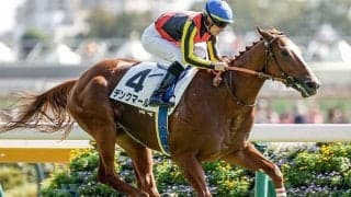 GI馬輩出の出世レース「ひいらぎ賞」2戦2勝で飛躍狙う今年の大物候補とは？