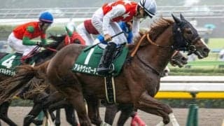 重賞馬4頭参戦の朝日杯FS 割って入るのは“前走新馬or未勝利組”？