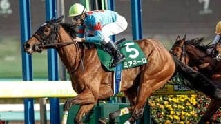 【ターコイズS予想】高期待値が見込める4歳馬に注目！ 3歳馬はこれまでのキャリアや前走での経験が好走の鍵を握る