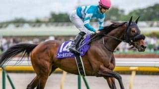 中山芝は高速決着 ターコイズSはフィールシンパシーの粘り込みを期待