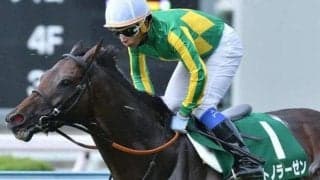 半兄に重賞勝ち馬2頭 良血キタサンブラック産駒が土曜中山でデビューV狙う