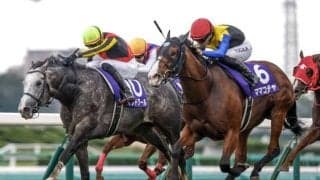 【阪神C想定馬・騎手】ママコチャ、ナムラクレアなど25頭