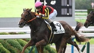 スタニングローズの半妹 C.デムーロ騎手を背に出世レースで“クラシック候補”に名乗り上げるか