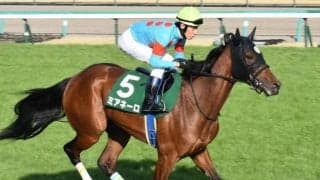 【今日の注目ポイント】中山で牝馬によるハンデ戦ターコイズS