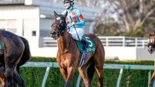 【ターコイズS予想】「牝馬」×「ハンデ」×「トリッキーなコース」 難解な条件を詰め込んだ一戦