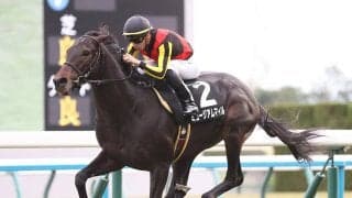 【競馬血統予想】初の京都開催の朝日杯FSは、先週に続いて「２歳戦の実績」から２頭を選ぶ