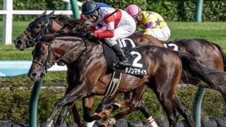 きょうだいのJRA勝ち上がり率は100％ 千葉セリで2番目の高額馬が初陣V狙う