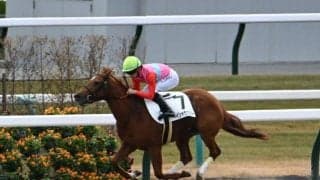 【京都6R新馬戦結果】ペイシャヴァルツーが9馬身差で圧勝 オーヴァルエース産駒のJRA初勝利