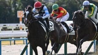 【京都5R新馬戦結果】サートゥルナーリア産駒メディテラニアンが押し切りV