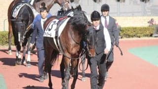 【中京7R】未勝利馬アークドールが初勝利…逃げ馬にアクシデントも