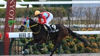 【JRA・WIN5】本日のWIN5は的中19票、配当1553万2650円