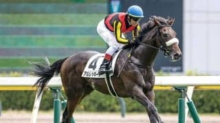 【朝日杯FS予想】父の血統によって狙い方が大きく変わる!? 高期待値が見込める父ノーザンダンサー系の馬は前走での着順が重要