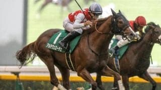 【朝日杯FS前日オッズ】アルテヴェローチェが3.1倍で1番人気