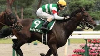 父は今年限りで種牡馬引退のバゴ 朝日杯FSを制してトータルクラリティが“最後の大物”となるか