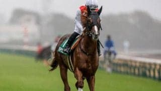 【朝日杯FS予想】今年は京都1600mが舞台 カギは傷みが進んだ馬場への対応