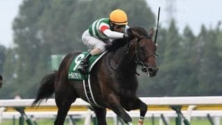 【競馬予想】ＧＩ朝日杯FSは関西馬 過去データから浮上した２頭の穴馬が好配当を演出か!?
