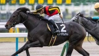 【朝日杯FS予想】「前走1着・内枠・関西馬」 過去10年データから探るGI朝日杯FS