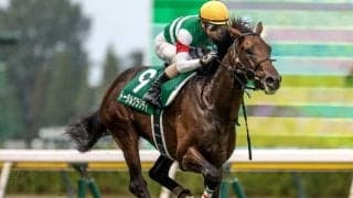 朝日杯FSは中枠有利か