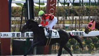 【京都6R新馬戦結果】9番人気のシニスターミニスター産駒ショーダンサーが快勝