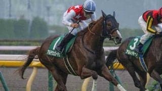 【朝日杯FS・馬体重】アルテヴェローチェは472kg(+14)、ミュージアムマイルは494kg(-2)