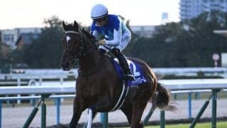 【JRA・WIN5】本日のWIN5は的中1303票、配当38万1640円