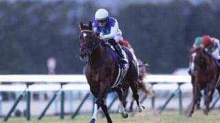 【朝日杯FS】アドマイヤズームが圧勝…武豊アルテヴェローチェは伸びきれず