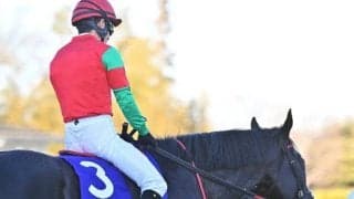 【中山大障害】マイネルグロン、ニシノデイジーらが登録