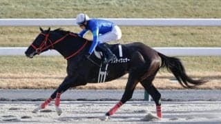 騎乗停止・岩田康誠騎手のジョッキーパンツを複数騎手が着用…「思うところがあるのでしょうね…」SNSでファンが反応