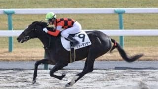 【新馬/京都6R】シニスターミニスター産駒 ショーダンサーが快勝