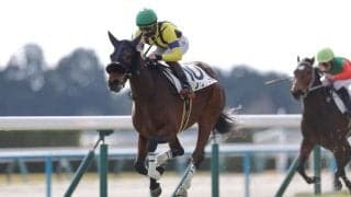 【新馬/京都5R】9番人気ノクナレアが低評価を覆すV