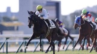 【京都4R】断然人気、ショウヘイが人気に応える