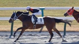 【京都2R】C.デムーロ騎乗 シホノペルフェットが快勝