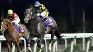 【岩手競馬】トウケイニセイ記念見どころ…ノーブルサターン3連覇なるか