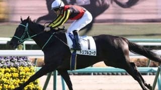 【新馬/中山5R】トリプルコークで断然の人気に応える