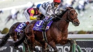 一年の総決算 グランプリ・有馬記念など3重賞/今週の競馬界の見どころ