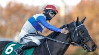 【ターコイズS】売上は45億2006万9700円で昨年より約8.3億円減少